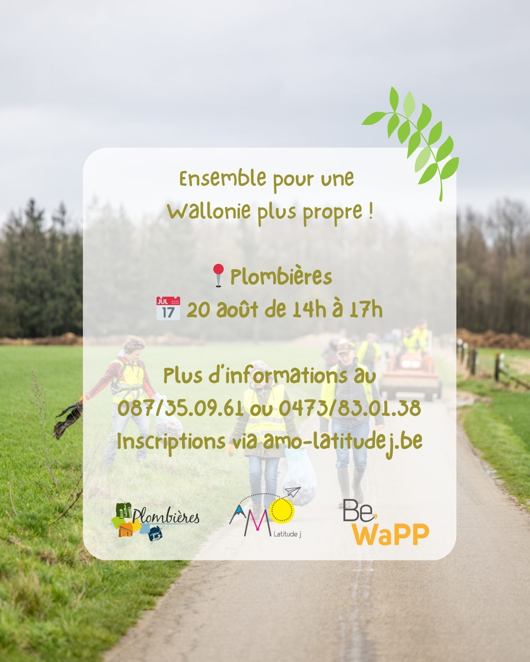 Image de l'activité
