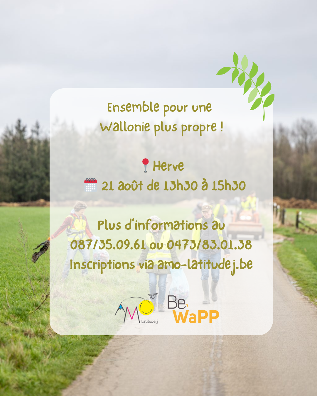 Image de l'activité